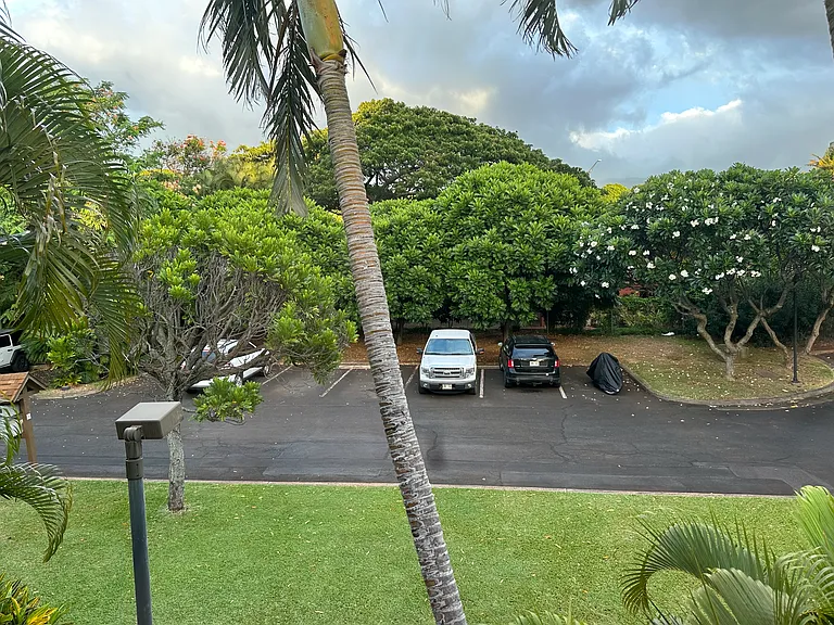 4242 Lower Honoapiilani Rd — Photo 15