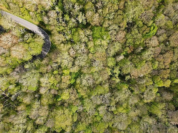 3rd image of 311 Dam Trail