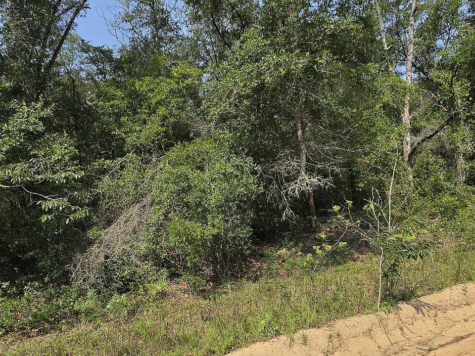 2nd image of Sherman Drive Cir