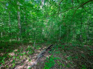 11138 Dolly Pond Rd, Birchwood, TN 37308
