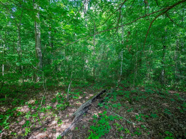 11138 Dolly Pond Rd, Birchwood, TN 37308