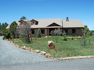 237 Bear Cub Dr, Ridgway, CO 81432