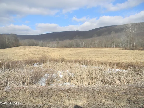 State Highway 42, Unityville, PA 17774