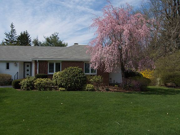 Front viewblossoming