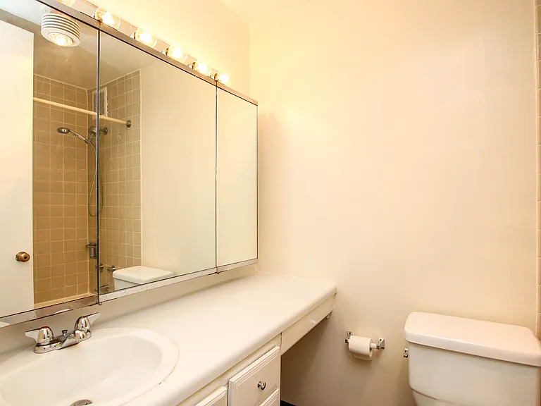 1 E Scott St #1406 — Photo 8