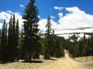 294 Camron Ln, Breckenridge, CO 80424