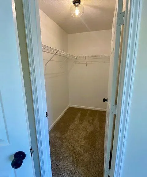 322 Oak Leaf Pl — Photo 23