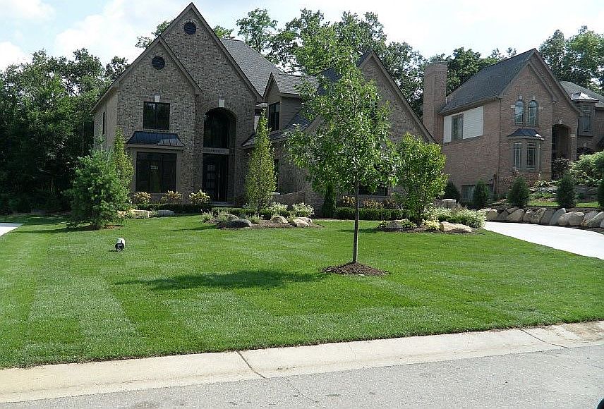 2nd image of 685 Elderberry Ct