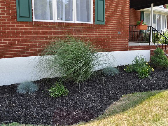 Professionally Landscaped