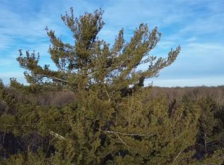 5926 W County Rd W, Winter, WI 54896