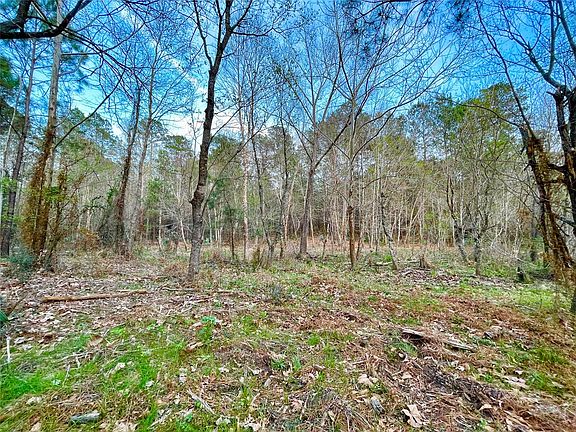 2nd image of 1-1-31 Texas Grand Rd