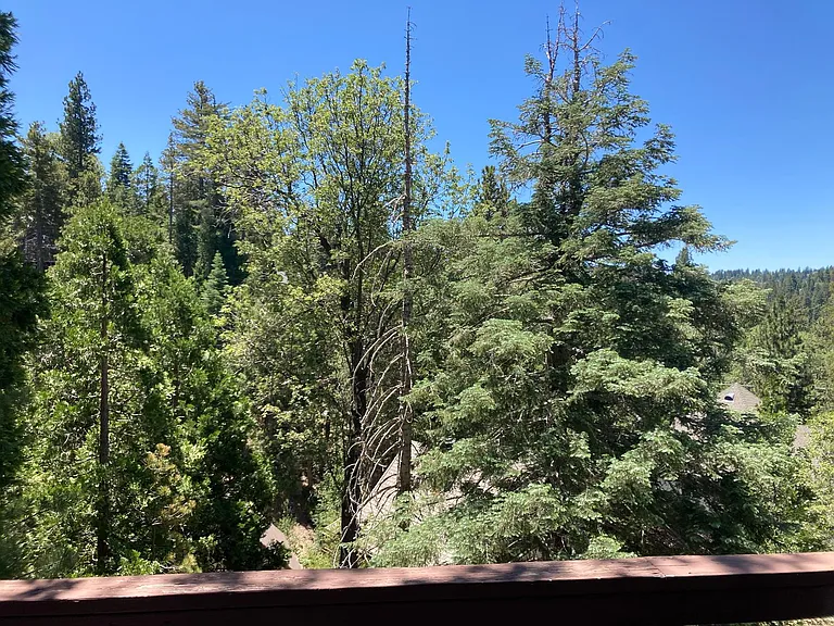 676 Grass Valley Rd — Photo 10