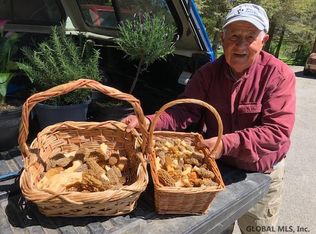 Anderson Rd, Root, NY 12166