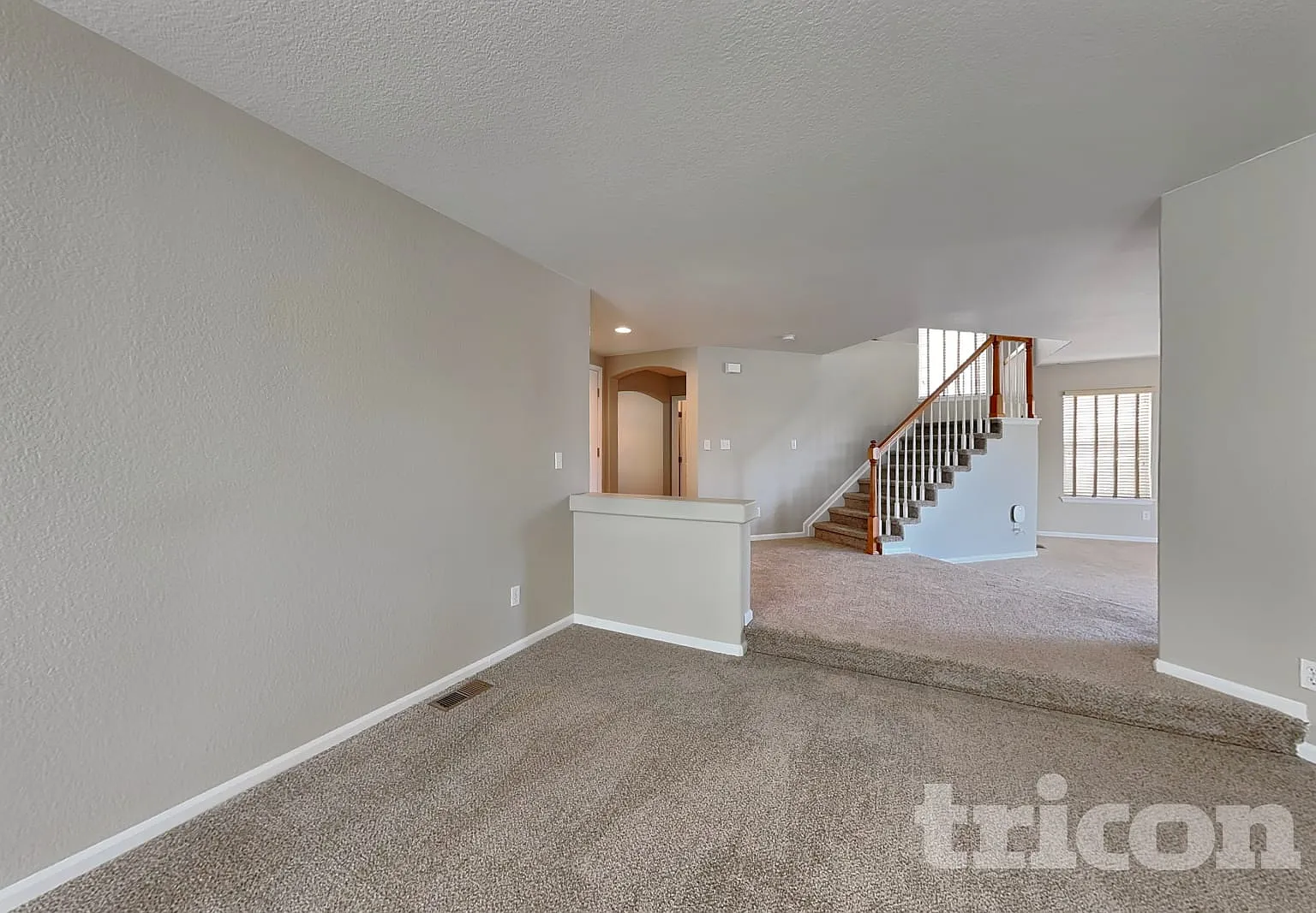 4836 Ireland Court Denver CO — Photo 2