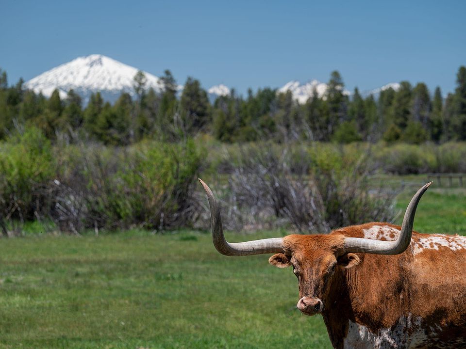 67th image of this home