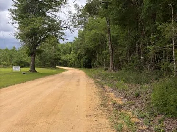 0 Jordan Grove Rd, Dozier, AL 36028