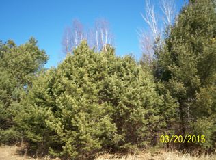 W M-61, Gladwin, MI 48650