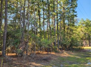 0 Deerfield Dr, Springfield, GA 31329