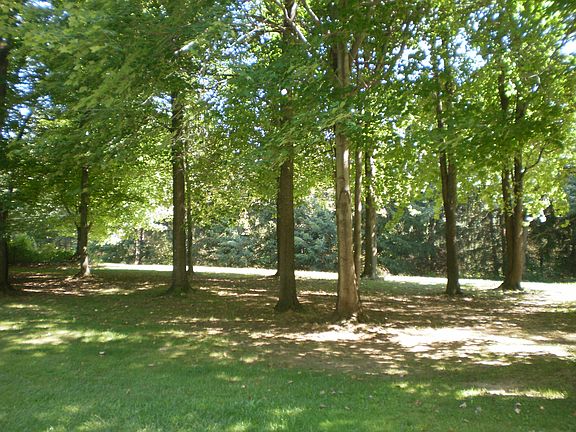 4th image of 2990 Plum Creek Pkwy