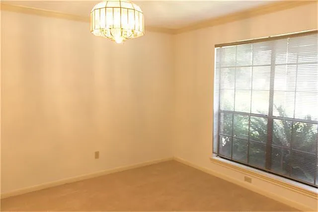 10010 Sagegreen Dr — Photo 14