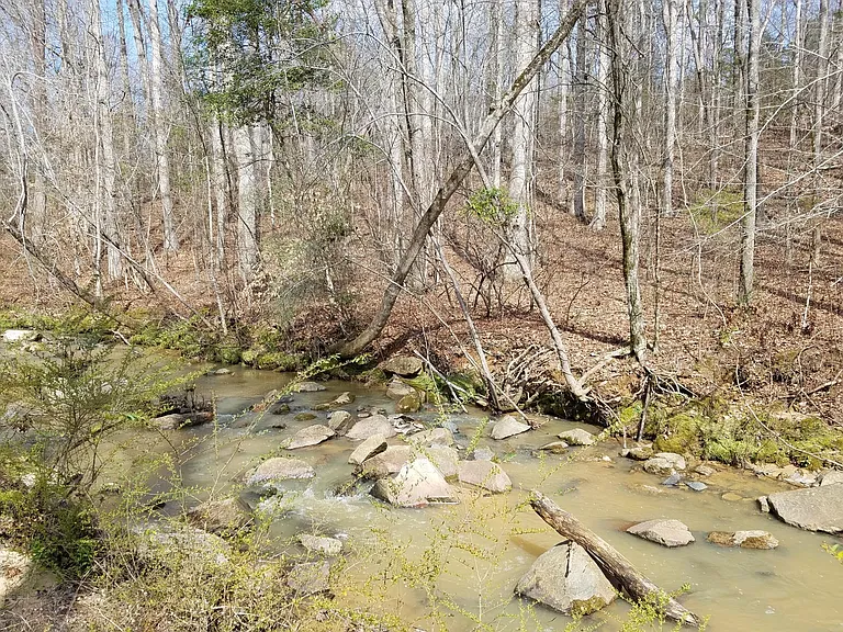 Creek on property 350 feet away