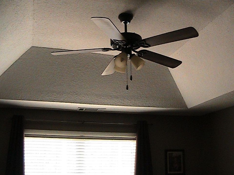 Trey ceiling in master bedroom