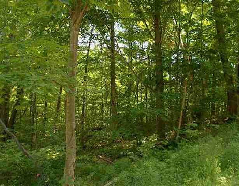 2nd image of RONEY Road