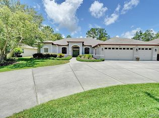 115 Oak Village Blvd S, HOMOSASSA, FL 34446