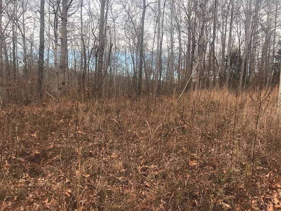 2nd image of 0 Wilkins Branch Rd