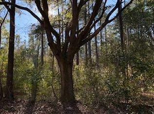 0 Great Swamp Rd, Ridgeland, SC 29936