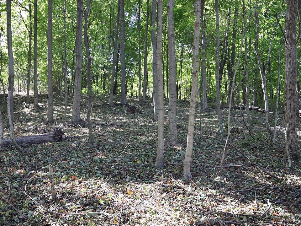 2nd image of 0 S Duncan Rd SW