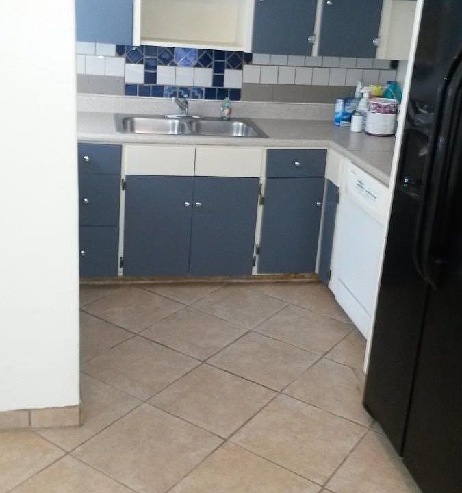 Kitchen with dishwasher and large refrigerator