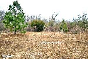 3rd image of 0 Quail Roost Dr