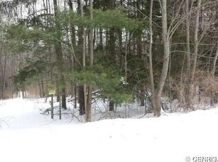 1168 Durkin Hill Rd, Woodhull, NY 14898