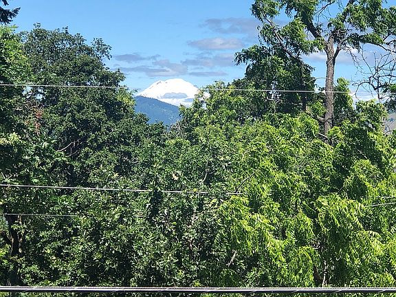Mt Adams from the deck