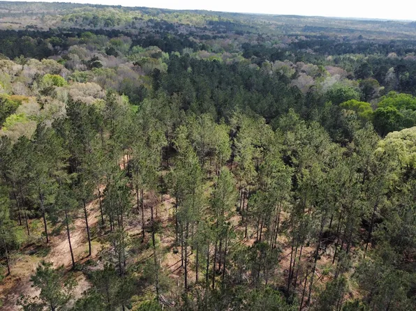 Fm 138, Center, TX 75935