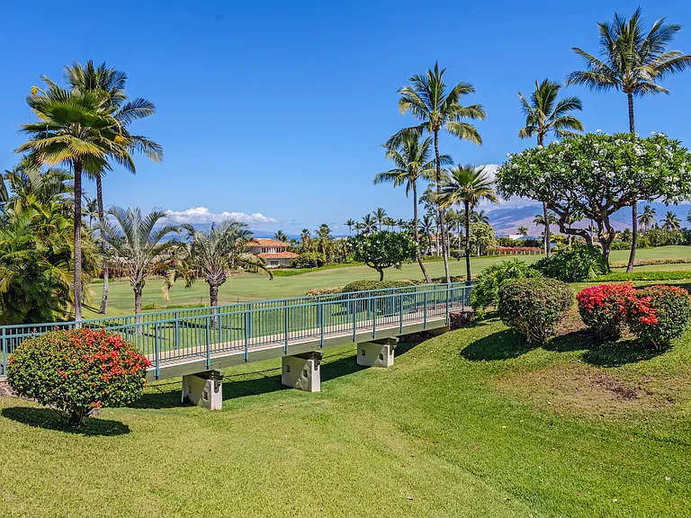 3950 Kalai Waa St #V102 — Photo 9