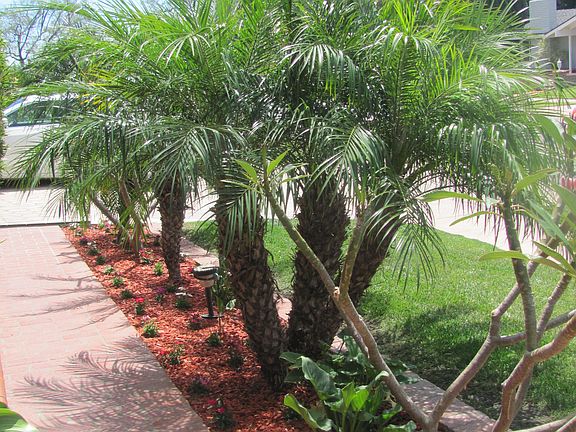 New landscaping throughout