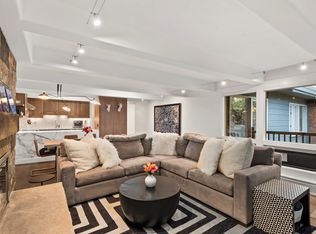 124 W Hyman Ave APT 3D, Aspen, CO 81611