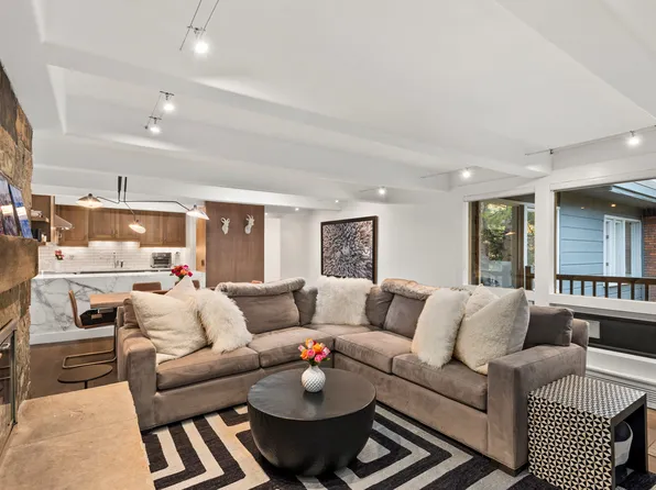 124 W Hyman Ave APT 3D, Aspen, CO 81611