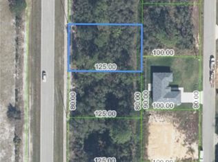 838 Cougar Blvd, Sebring, FL 33872