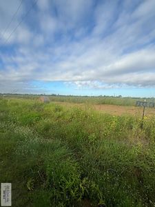 Louisiana Rd, La feria, TX, 78559