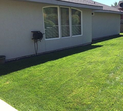 Back yard lawn