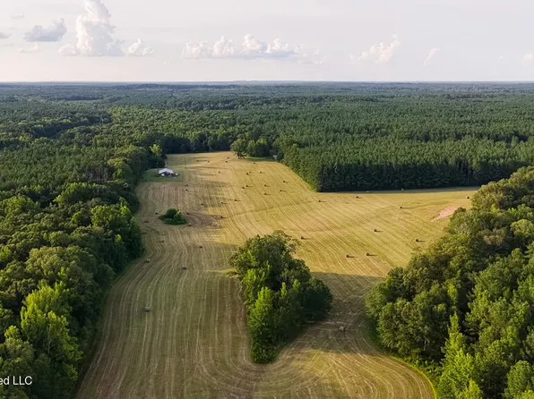 214 Cook Cobb Rd, Camden, MS 39045