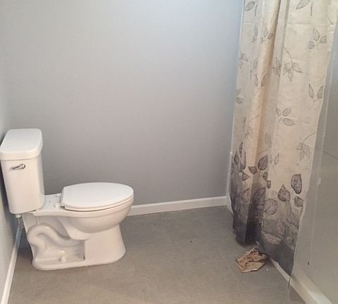 Lower level walk in shower 