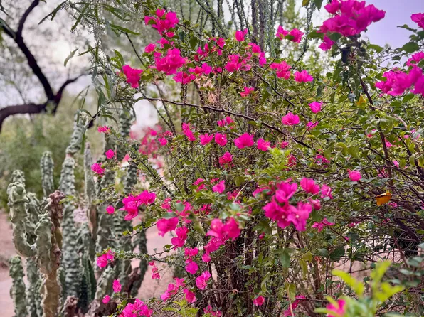 (undisclosed Address), Scottsdale, AZ 85254