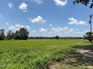 0 Near James B White Highway N, Clarkton, NC 28433