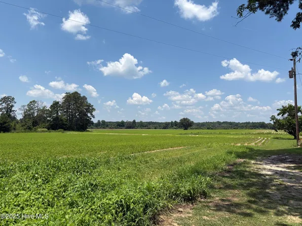 0 Near James B White Highway N, Clarkton, NC 28433