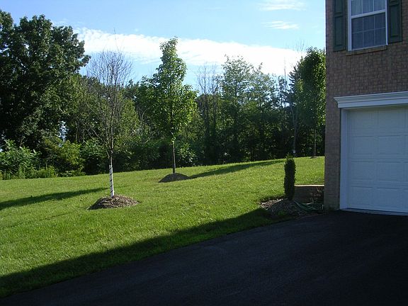 Side yard