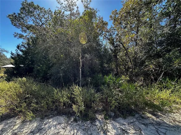 TBD NE 65TH LANE LOT 11, BRONSON, FL 32621